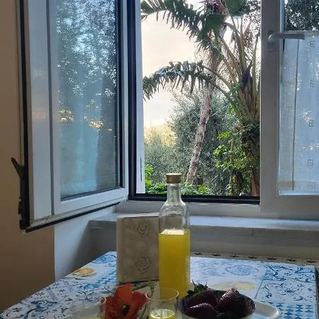 Bed & Breakfast Casa Athena